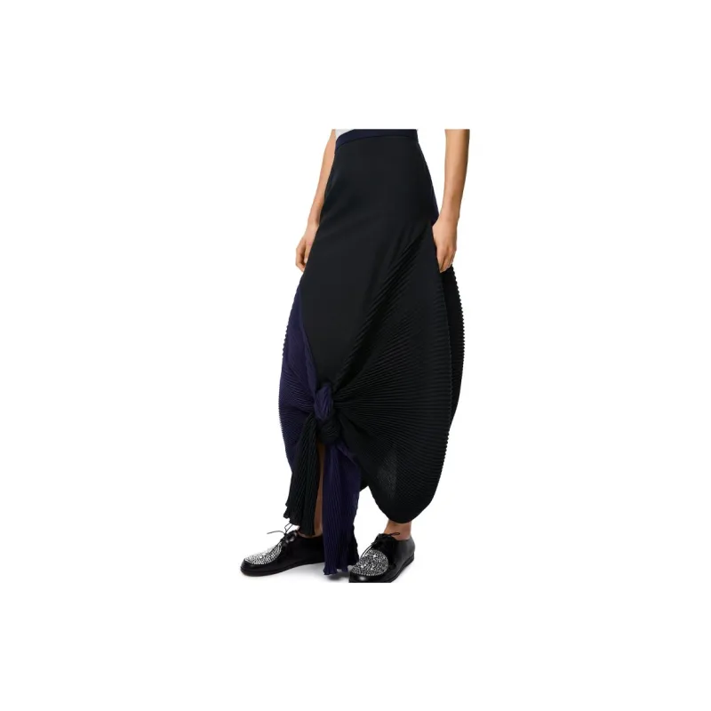 LOEWE Casual Long Skirts Women's Black-3