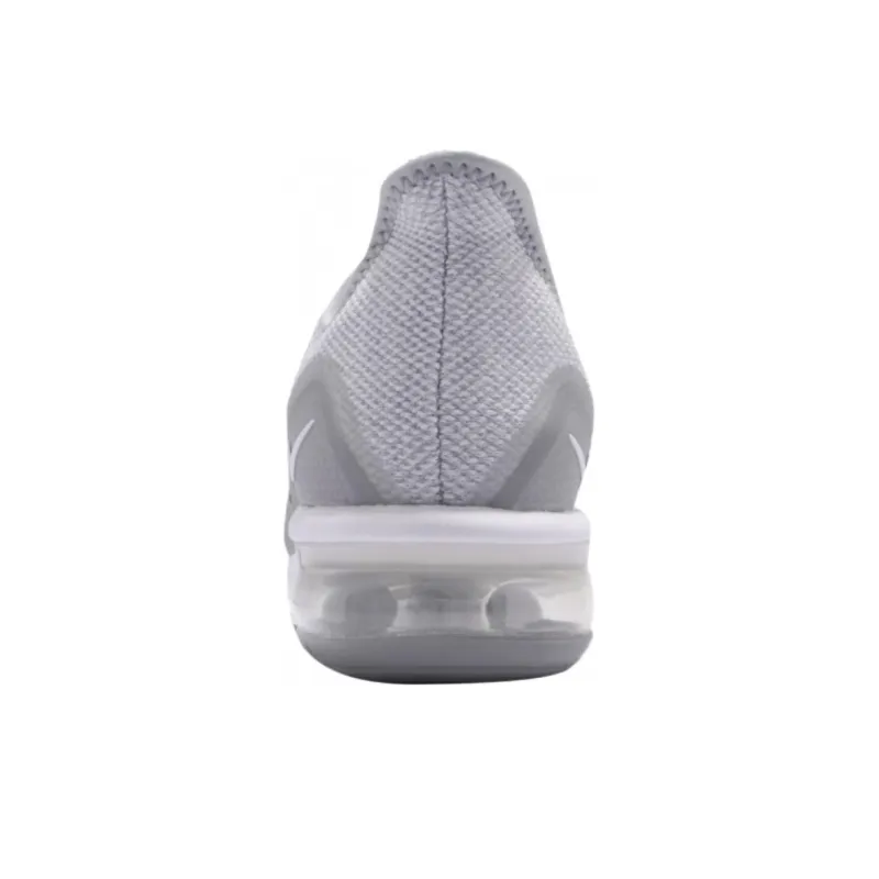 Nike Air Max Sequent 3 Wolf Grey White Pure Platinum-2