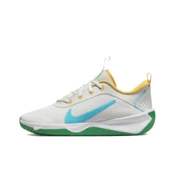Nike Omni Multi Court GS 'Spring Colors'