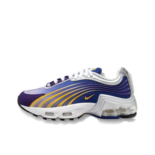 Nike Air Max Plus Running Shoes Unisex Low-Top Blue/Purple/Gold