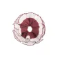 Vintage Red White Hair Tie