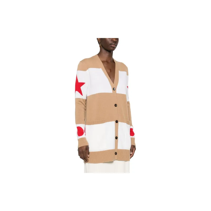 MaxMara V Neck Long Sleeved Cardigan-3