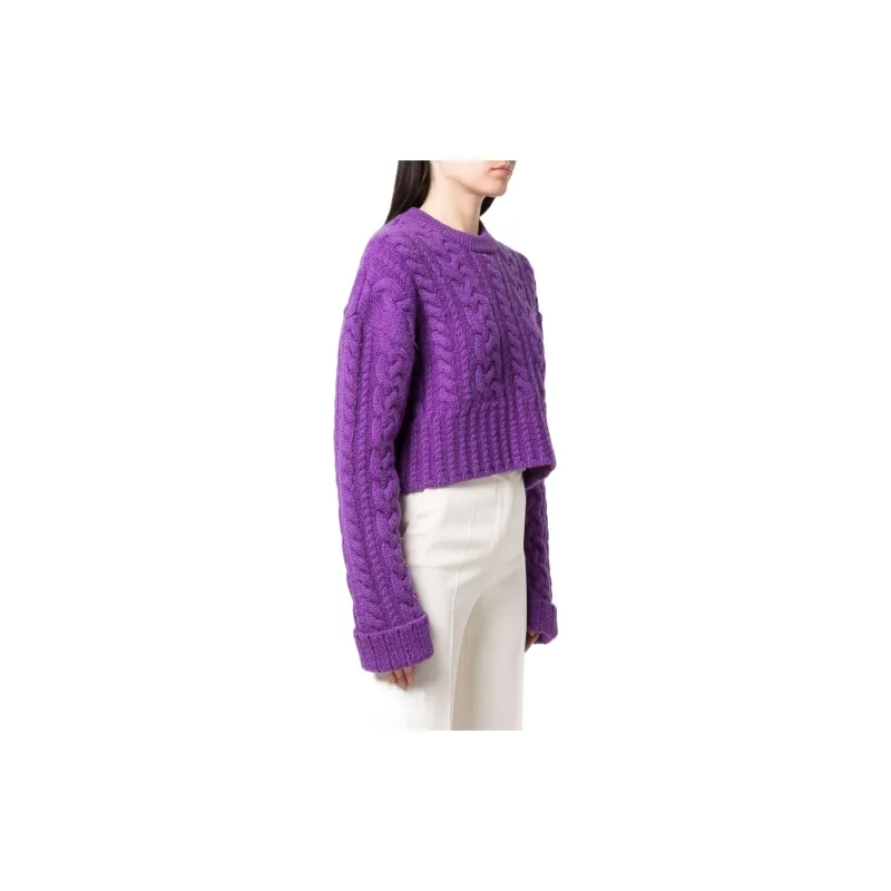 AMIPARIS Cable Knit Cropped Jumper-3