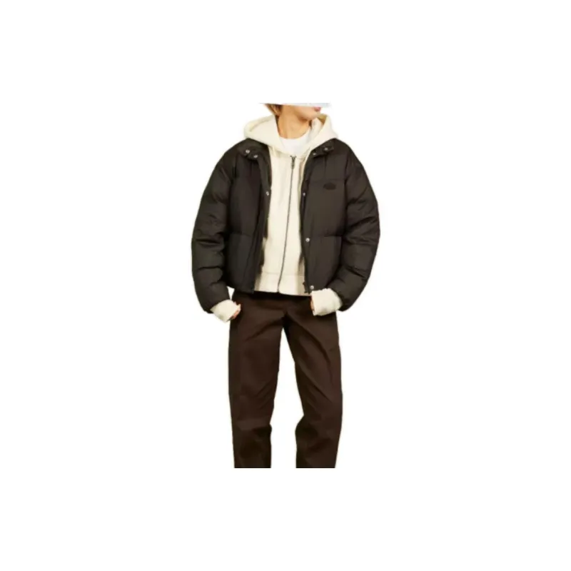 Dickies Puffer Jackets Women's Asphalt Black-1