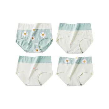 Lanza Underpants Women's 4 Pack