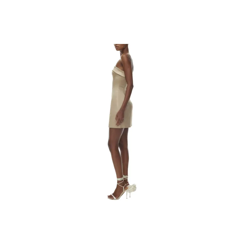 ARITZIA Ten Shimmer Satin Tube Dress Sleeveless Dress Women's Humus Beige-4