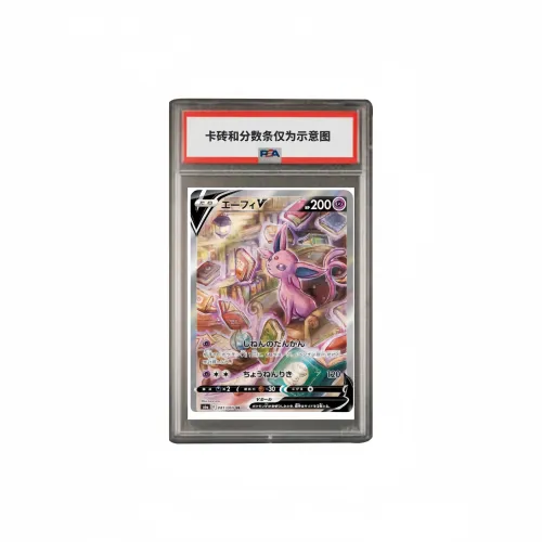 Pokemon Graded Cards