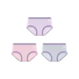 Taro Purple - Lotus Pink - Aqua Blue