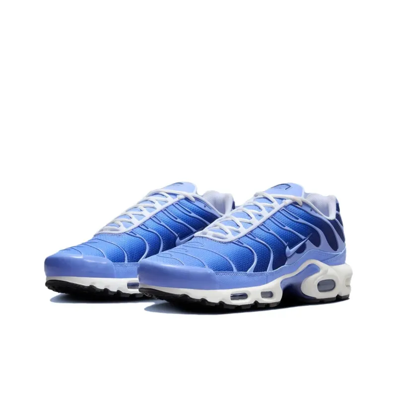 Nike Air Max Plus Royal Pulse-2