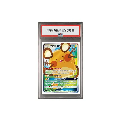 Pokemon Graded Cards