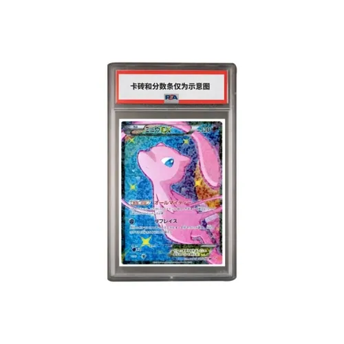 Pokemon Graded Cards