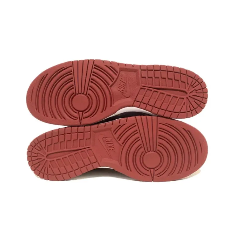 Nike Dunk Low Ugly Duckling Plum 2001-4