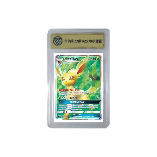 Pokemon Graded Cards