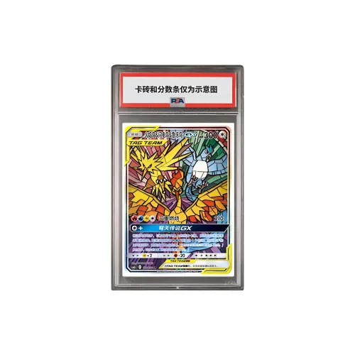 Pokemon Graded Cards