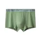 Fruit Green (1 Pack)