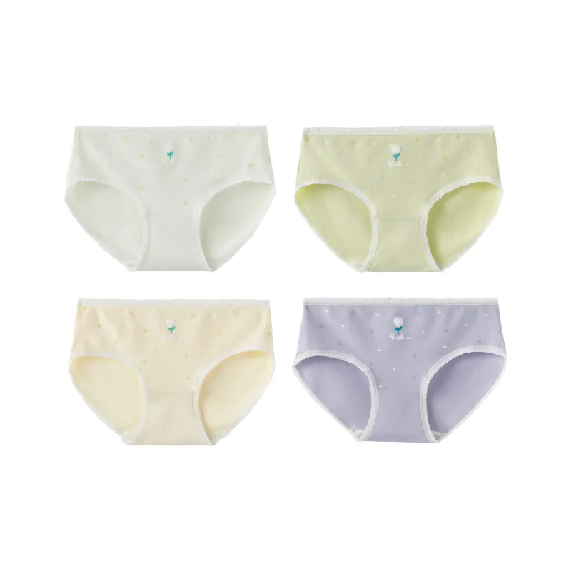 Caramella Underpants Women's 4 Pack-4