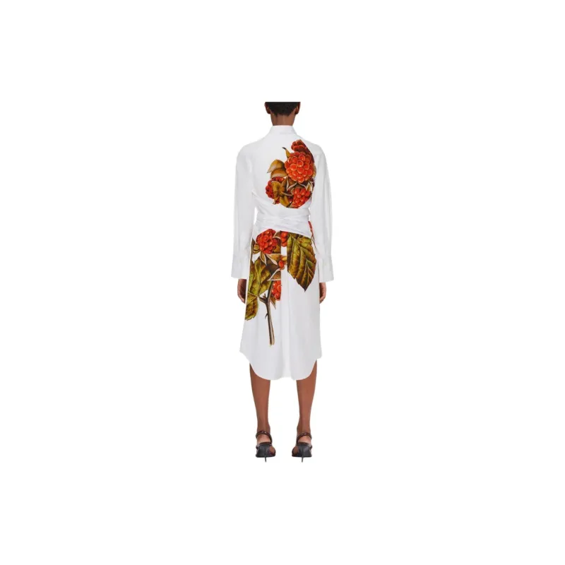 Ferragamo Botanical print Cotton Shirtdress-2