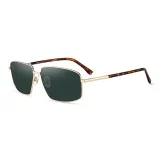 H8758P21 Gold Frame with Jasper Lens (All-Color Lens)
