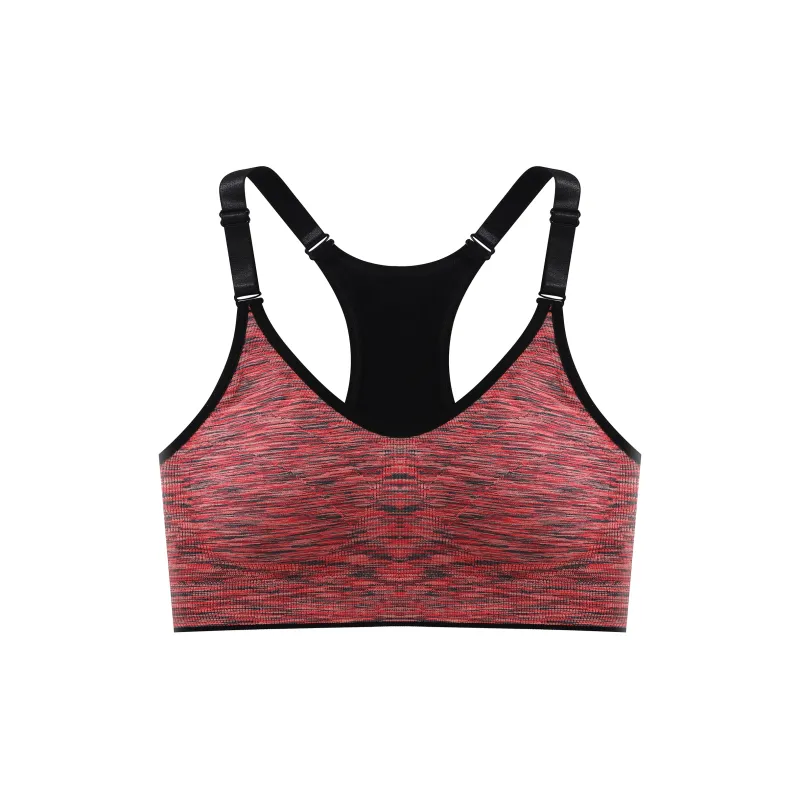 Caramella Women's Bras-2