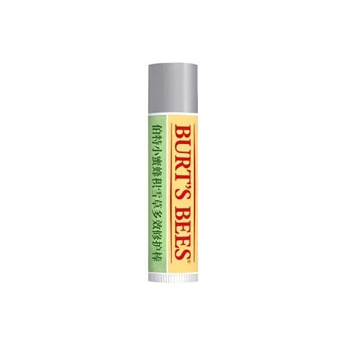 BURT'S BEES 페이스 모이스처 크림 남녀공용