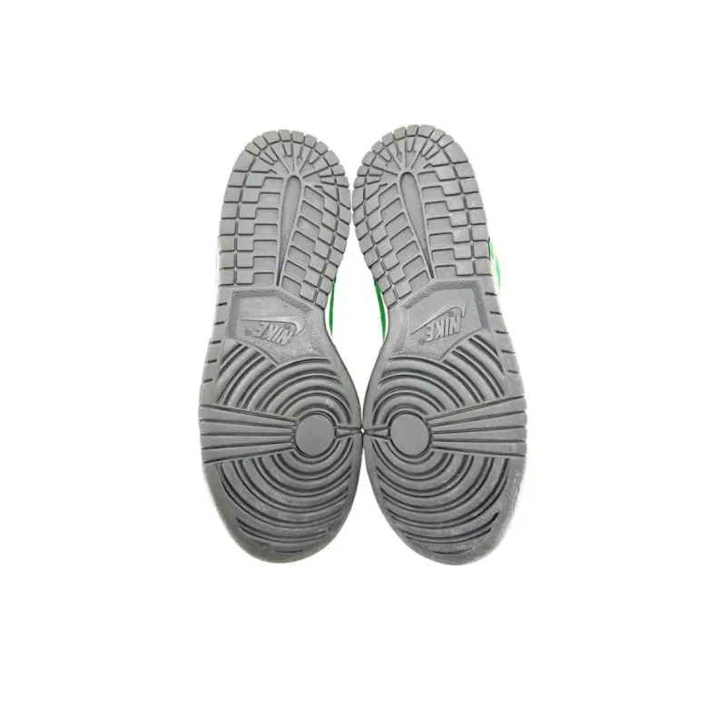 Nike Sb Dunk Low Pro Wallenberg-4