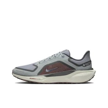 Nike Air Zoom Pegasus 41 Gore Tex Light Pumice Burgandy Crush