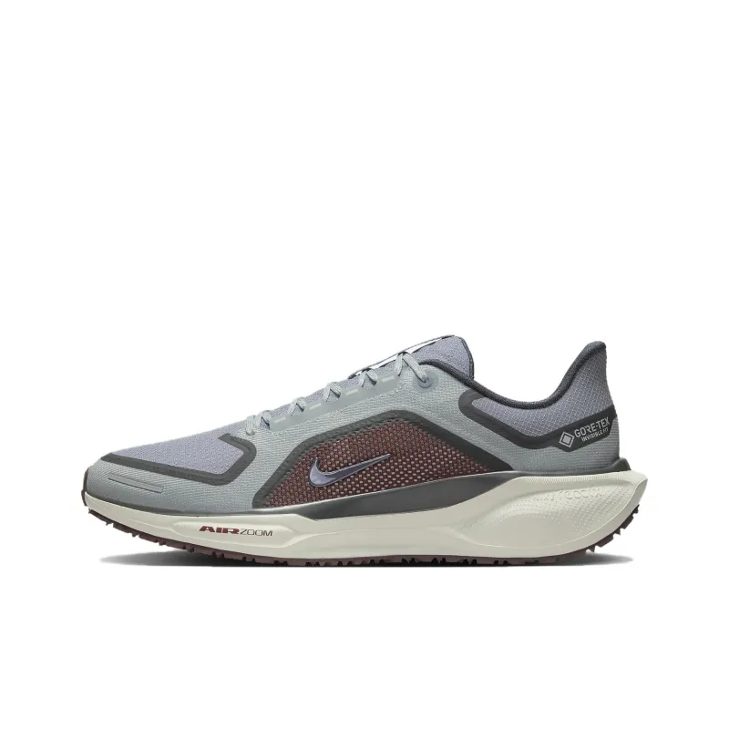Nike Air Zoom Pegasus 41 Gore Tex Light Pumice Burgandy Crush-0