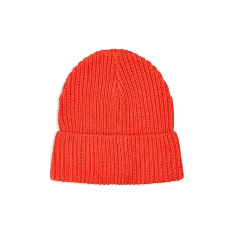 Patagonia Fisherman's Rolled Beanie-1