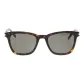Tortoiseshell