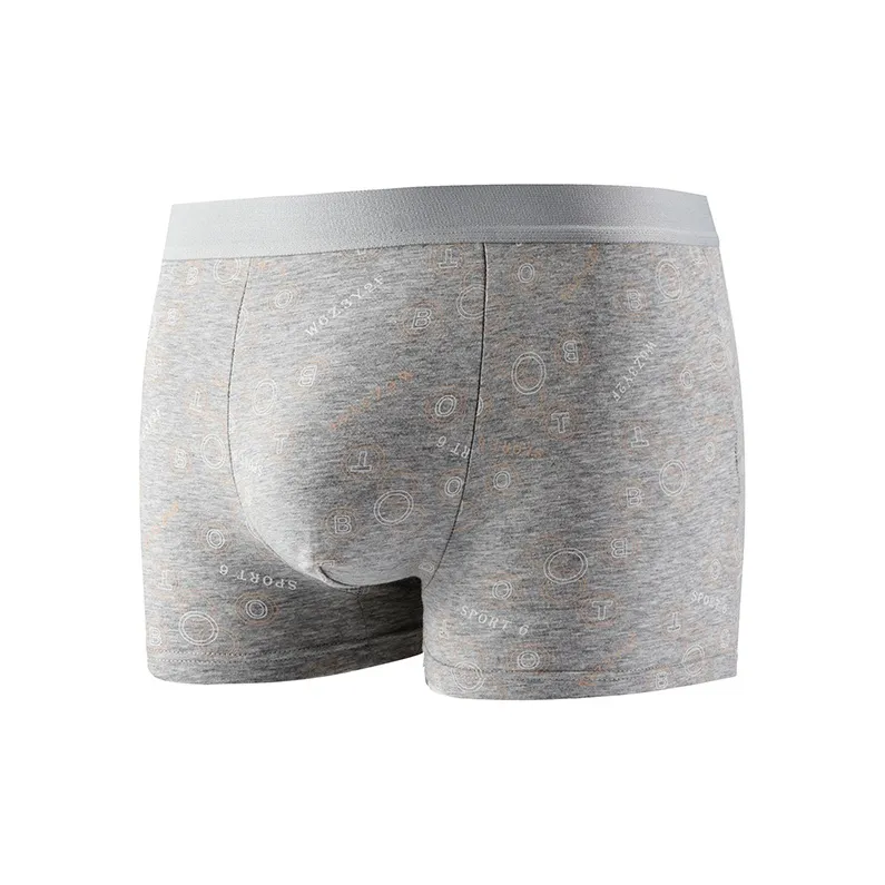 Lan Miao Underpants Men's 2 Pack-18