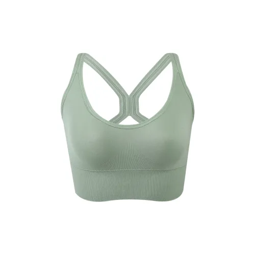 Caramella Women's Bras