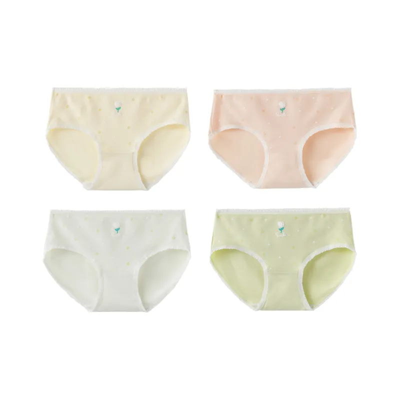 Caramella Underpants Women's 4 Pack-0