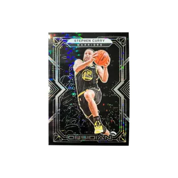 PANINI Sports Cards