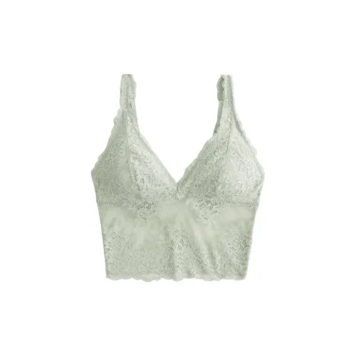 Hollister Women's Bras