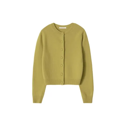 NOTHING WRITTEN Sweaters Women's Olive/Olive Green