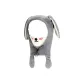 Gray Rabbit