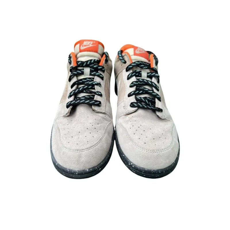 Nike Dunk Cl Chino-1
