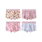 Bag C2204 100% cotton-1+2+4+6