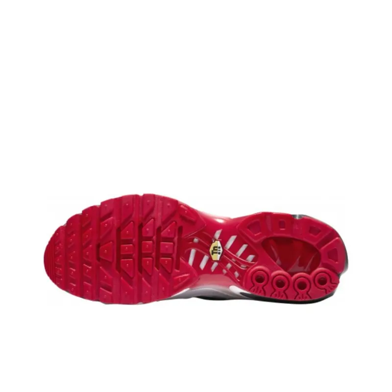 Nike Air Max Plus Before The Bite-5