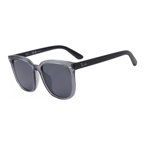 RayBan Plate Frame Oval Sunglasses Unisex Gray