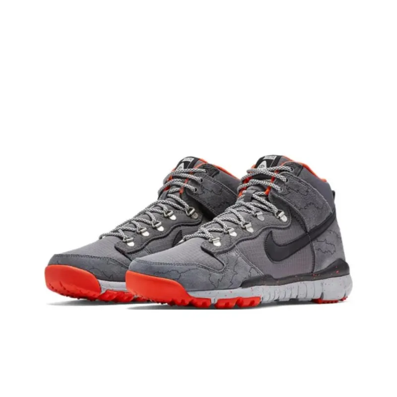 Nike Sb Dunk High R/R Poler-2