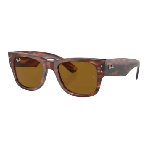 RayBan Injection-Molded Square Sunglasses Unisex Tortoiseshell
