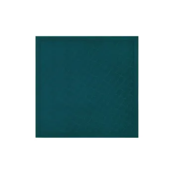 LONGCHAMP Silk Shawls Women's Ink Blue