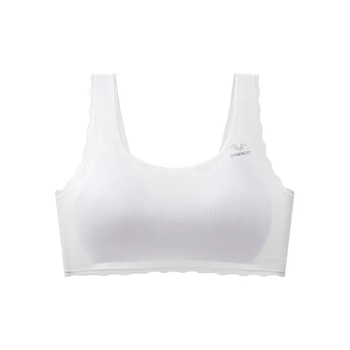 Lanza Women's Bras