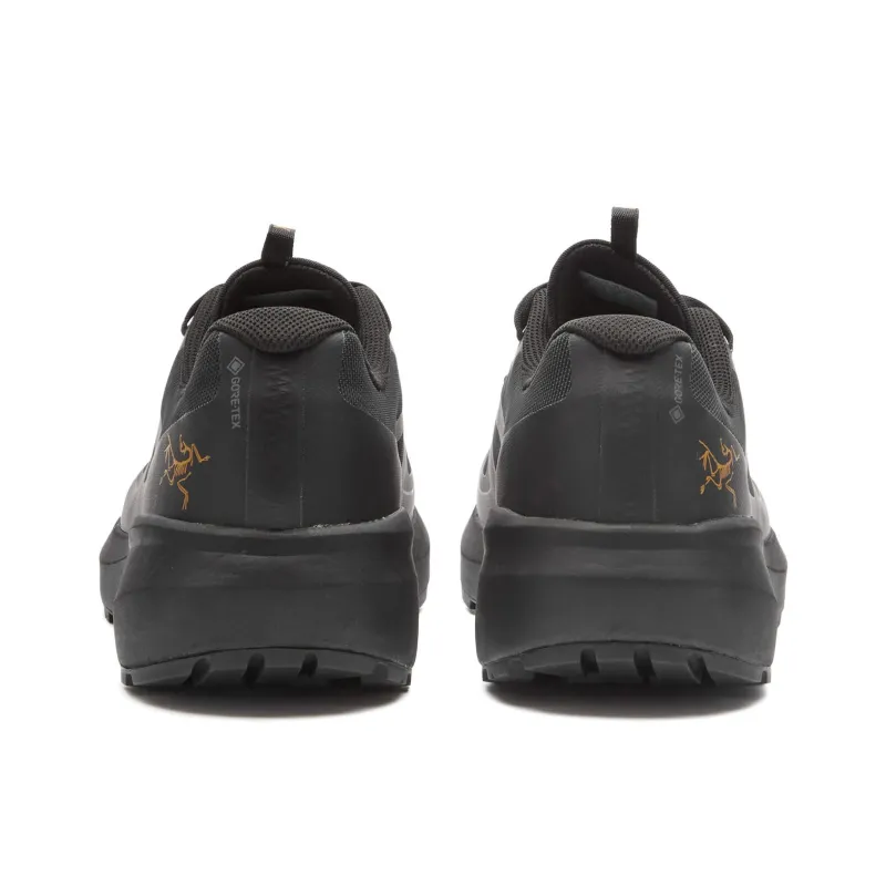 Arc'teryx Norvan LD 3 GTX Black-3