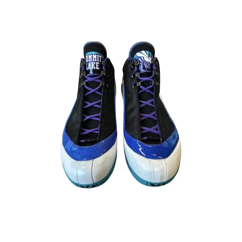 Nike Zoom Power 'Summit Lake Hornets' Slip-Resistant Low-Top Vintage Basketball Shoes Men's Purple Black Blue-2