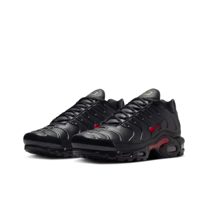 Nike Air Max Plus Premium Bred-2
