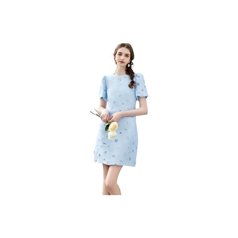 NAWAIN Short Sleeved Dresses Women's Blue Floral Embroidered-2
