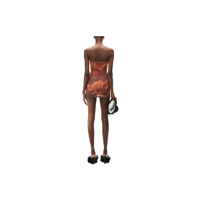 Alexander Wang Crystal embellished Cloud print Mini Dress-2