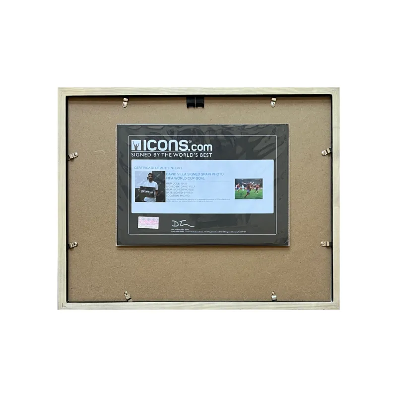 ICONS.com Bilia Includes Certification Certificate, Outer Frame Size 38.6x48.6cm-2